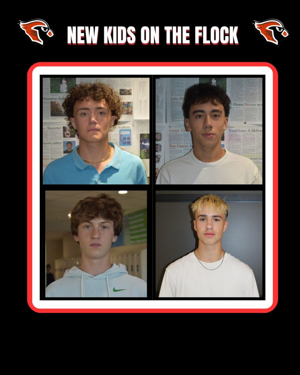 Podcast: New Kids on the Flock featuring Merlin Danzmayr and Johannes von Habsburg-Lothringen