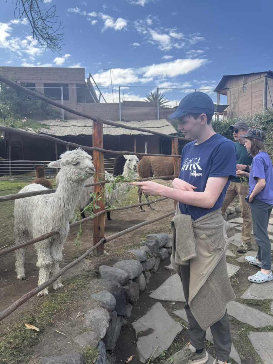 Sophomore Rowan O’Brien feeds a llama at a small animal refuge in Peru, one of the many stops on his family’s trip around the world last year. Courtesy of Rowan O’Brien