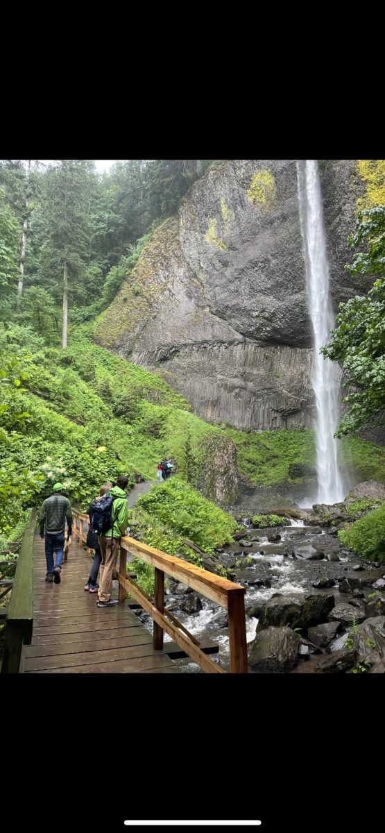 There are many great hiking options at Silver Falls State Park, all of them featuring waterfalls. By Amanda Schubert